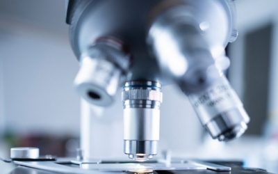 How Is Small Intestinal Bacterial Overgrowth Treated?