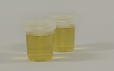 Antibiotics for Urinary Tract Infections (UTI)