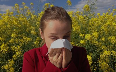 EpiPen: What You Need to Know