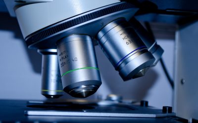 H. Pylori and Your Stomach