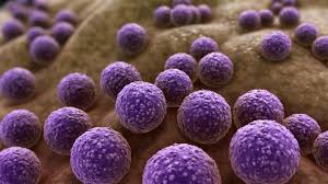Antibiotics for MRSA Infections